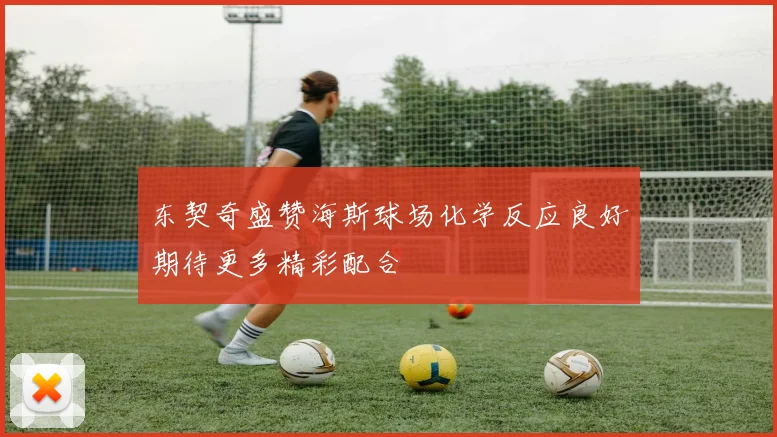 东契奇盛赞海斯球场化学反应良好期待更多精彩配合